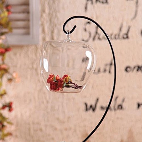 Klar Apfel Förmige Glas Hängen Vase Flasche für Pflanze Blume Schmuck - 5