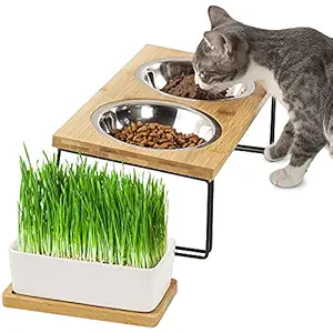 Yangbaga Cat Food Bowl, Bamboo Raised Cat Bowl with Ceramic Pot for Cat Grass Planting, Tilted Design Elevated Cat Water Bowl, Comes with 2 Stainless Steel Bowls