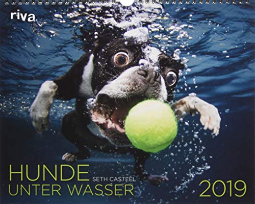 Hunde unter Wasser 2019: Wandkalender Hunde unter Wasser 2019: Wandkalender