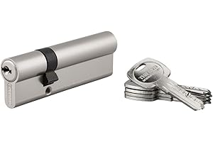 THIRARD - Cylindre de Serrure Double Entrée - Trafic 6 - Laiton - Haute Sécurité - Cylindre Européen - Anti-Arrachement, Anti-Perçage, Anti-Crochetage - 30 x 65 mm - Gris - 5 Clés Réversibles