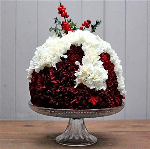 Christmas Pudding - Margaret Emms Fresh Flowers Delivered