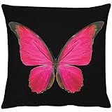 Apelt Papillon 46 x 46 mando a distancia 30 mariposa funda de cojín 18 x 18 '