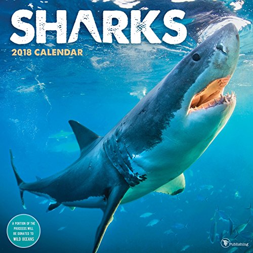 Sharks 2018 Wall Calendar