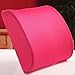 THG New Memory Foam Seat Chair Rose Car Sedan Office Home Lumbar Back Pain Support Cushion Pillow Pad