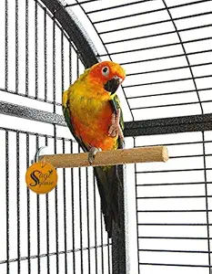 Sage Square 10 Inches / 25 cm Natural Wood Perch/Toy Ideal for Sun Conure, Pionus, Quaker Parrot, Cockatiel (Light Weight)