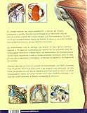 Image de Atlas de anatomia