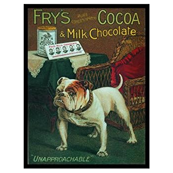 Targa Metallica Vintage Retrò Ecool – Immagine Cioccolato Fry’s Crunchie, Formato 90x70mm, Ideale Come Magnete Da Frigo O Placca Da Parete - 4