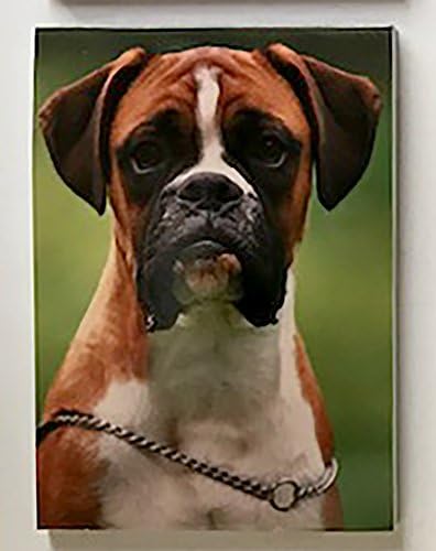 Boxer Dog Magnetic Notepad/Shopping List, Size 75mm x 100mm