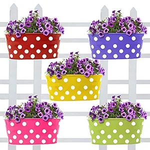 Trust Basket Dotted Oval Railing Planters (Multicolour, Pack of 5)