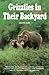 Produktbild Grizzlies in Their Backyard
