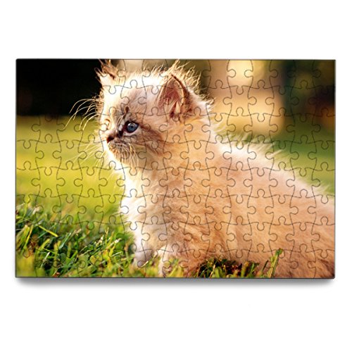 Ecopad Inovart Puzzle-It - Puzzles en Blanco (9 Piezas, 10,16 x 12,7-24 Unidades)