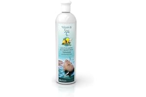 Camylle - Fragancia para bañera de hidromasaje Cajeput/limón - Fragancias elaboradas con aceites esenciales para spas o jacuzzis - Estimulante con aromas frescos y afrutados - 500ml