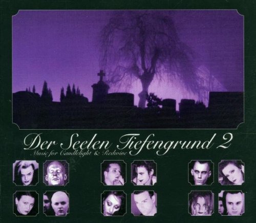 Preisvergleich Produktbild Der Seelen Tiefengrund 2