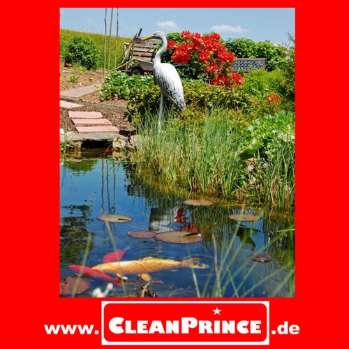 Teichrein-Algenfrei 1 Liter Algenvernichtung Blaualgen Braunalgen Teichreiniger Teich Reiniger Teichrein Reinigung Klärung Wasser Algenfrei Wasserklärung Schlamm Grün Algen Entfernung Entferner Algenreinigung Algen-Entferner Teichrein Teichreiniger Kanister Algenentferner Algen Entferner bei Fischen Fischbestand und Wasserpflanzen geeignet, gegen Blaualgen Braunalgen Algen CleanPrince 1000 ml - 2