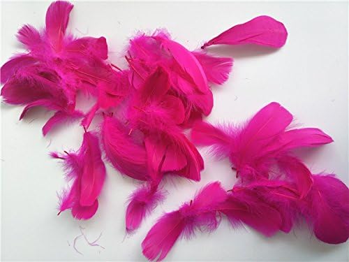 Bbei 100 PCS of Soft Feathers Decoration, Great for Transparent Clear Foil BoBo Balloons (Hot Pink Feather)