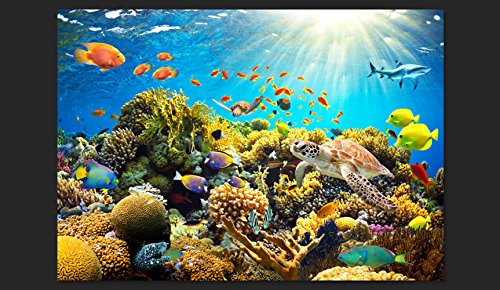 FOTOTAPETE 350×245 cm – VLIES TAPETE PREMIUM – PROFI QUALITÄT – Top moderne Wanddeko – Riesen Wandbild – Top Design Tapete – Neue exklusive Edition mit noch besser Druckauflösung – Deutsches Premium Vlies – Fisch Natur b-A-0002-a-a - 2