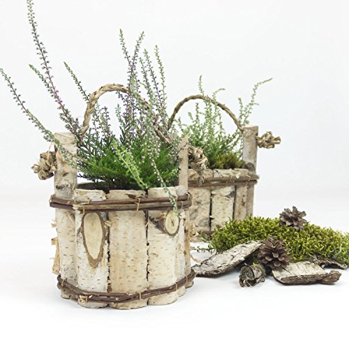 Blumentopf ökologisch Natur Holzkübel Pflanzkübel aus Birkenholz Bottich D 16,5 cm Handarbeit Garten Balkon Terrasse - 3