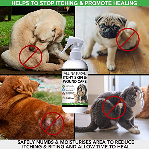 Spray-Pour-Le-Traitement-Des-Dmangeaisons-Et-Des-Plaies-Pour-Chiens-Chats-Entirement-Naturel-Soin-Cutan-Anti-Dmangeaisons-Apaise-Les-Dmangeaisons-Les-Lsions-Cutanes-Et-Les-Plaies