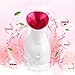 DBPOWER Nano Lonic Facial Steamer Facial Sauna Portable Hot Mist Moisturizing Cleaning Skin Care Home Humitifier