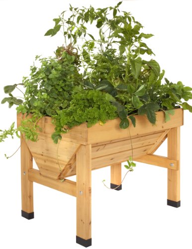 VegTrug Pflanztrog aus Holz, 1 m breit - kleine Ausführung