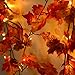 Produktbild FORH Lichterkette Halloween 1.5M LED Beleuchtet Herbst Kürbis Ahorn Blätter Garland Decor ür Balkon, Garten, Partys, Hochzeit, Bäumen, Weihnachten, Halloween, Valentinstag (Gelb)