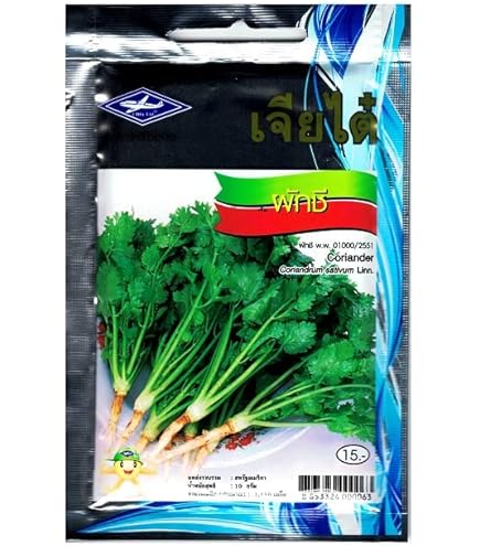 Achetez Graines Thai Holy Basil - 2400 Graines Chez Burundi