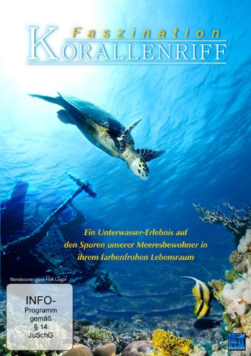 Preisvergleich Produktbild Faszination Korallenriff
