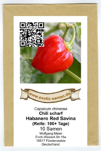 Galt über viele Jahre als schärfstes Chili der Welt – Habanero Red Savina – 10 Samen - 2