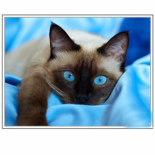 Diamond Painting Bild Handarbeit Set Basteln Diamanten Strass Katze - 2