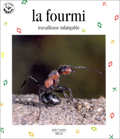 fourmi travailleuse infatigable