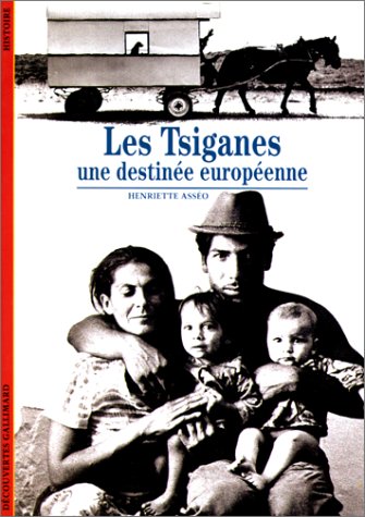 couverture de : Tsiganes (les)