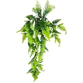 Nettenevime Yapay &Ccedil;i&ccedil;ek Sarkan Boston Fern Yapraklı Bitki K&uuml;&ccedil;&uuml;k Siyah Saksıda Yapay Sarmaşık 55cm