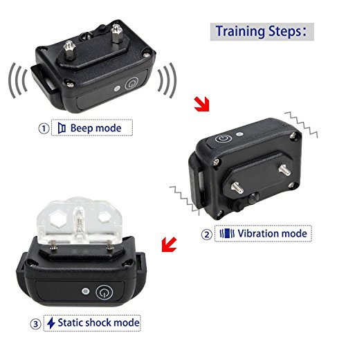 [Neue Version] Buydaly 1000 Yards Wasser Beweis wiederaufladbare einstellbare Hundeschulen Kragen wasserdicht Ausbildung Kragen verstellbar E Hundehalsband mit Funkfernbedienung - 6