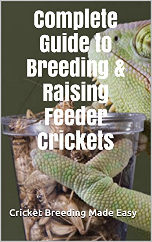 Complete Guide To Breeding Raising Feeder Crickets Cricket