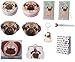 Price comparison product image Gossip Girl - Pug Gift Set Party Bags Favours 11 Items Inc Lip Balm, Gift Bag, Purse, Tweezers, Nail Files, Hand Warmer. Great For Christmas RRP £30