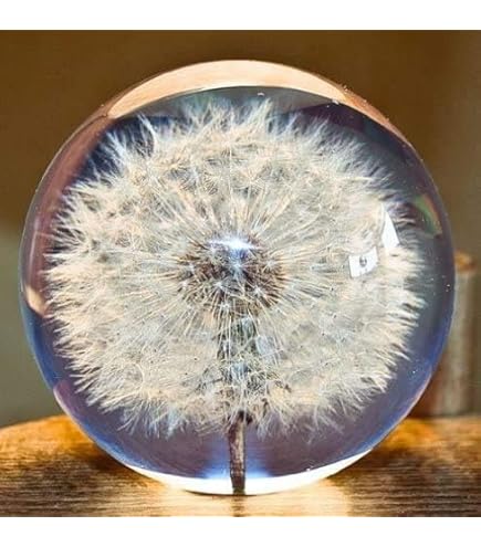 J-Line Briefbeschwerer Apfel Aus Glas - Büro Deko 8x8x9cm