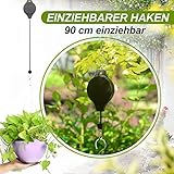 Ort: Ein tolles Weg zu mehr grün ohne Fotografieren bis Platz sparen und bequem für Sie die Pflanzen zu kümmern.