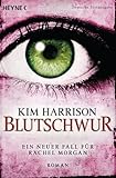 Image de Blutschwur: Die Rachel-Morgan-Serie 11 - Roman (Rachel Morgan Serie)