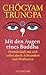 Mit den Augen eines Buddha: Freundschaft mit sich selbst durch Achtsamkeit und Meditation by Chögyam Trungpa, Jochen Lehner