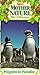 Produktbild Penguins in Paradise [VHS]