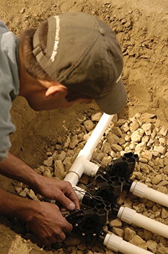 Rain Bird Magnetventil 100-DVF, 1″ IG mit Durchflussregulierung - 2