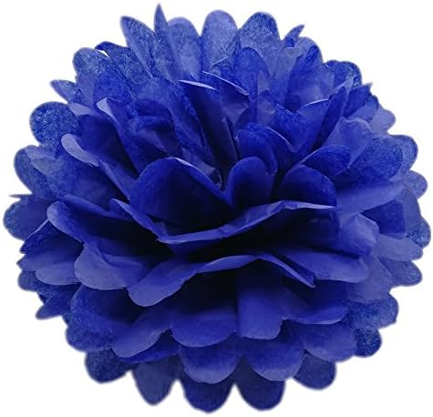 SYOO 10x Blue Pom Pom Pompom Pompon, Diameter 25cm, Tissue Paper Decoration for Bedroom Wedding Birthday Kids Party Baby Shower Baptism Christmas