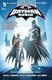  Batman and Robin Vol. 3: Death of the Family (The New 52) (Batman: The New 52)