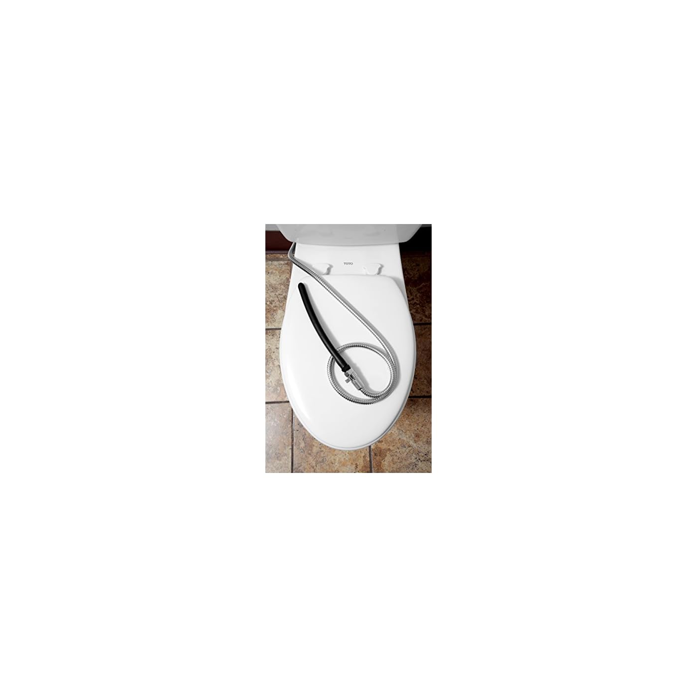 Anus UK