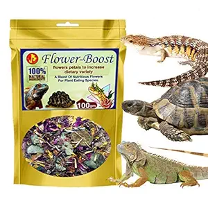 Pet Care International (PCI) Flower-Boost, A Blend of Flower for Tortoises, Iguana, Bearded Dragon and Other Plant Eating Mammals (100grm)