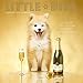 Produktbild LITTLE DIVA 2019 SQUARE WALL CALENDAR