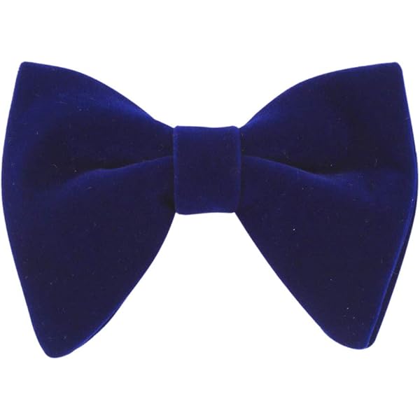 Nœud Papillon Velours Réglable HOULIFE - Pour Marié Et Cérémonie - Boîte Cadeau Incluse - Taille Unique 12x7cm
