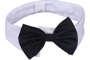 DULEE Nœud papillon réglable pour animal domestique - Costume formel pour chien et chat - Accessoires de toilettage pour chiot, petit chien et chat - Blanc - S : 26-30 cm