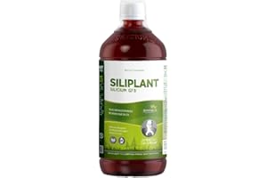 G7 Siliplant Silicio Líquido Bebible 1L Suplemento Natural de Cola de Caballo para Articulaciones Piel Uñas Pelo y Huesos Alta Absorción
