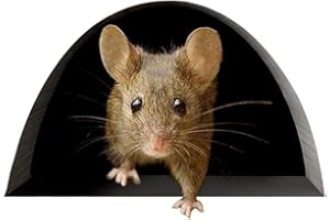 Srliya Wandaufkleber Maus Mausloch Wandtattoo Maus Wandaufkleber Lovely Home Kitchen Decor (DREI)